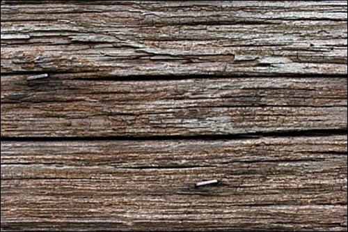 Rough Wood Texture