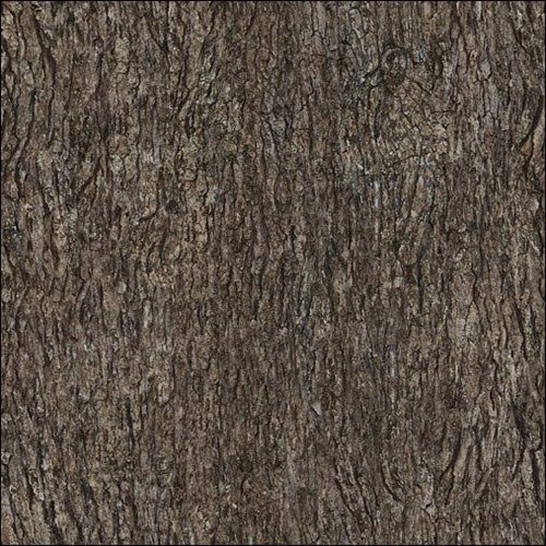 Tileable Tree Bark Texture