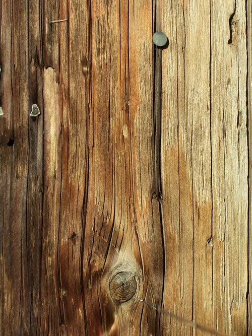 Wood Texture Stock