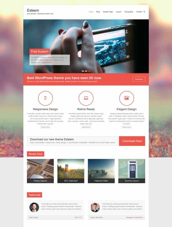 Esteem multipurpose responsive WordPress theme