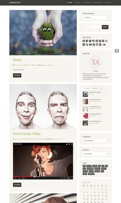 TA DailyBlog Responsive Blogging Theme