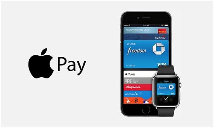 Apple Pay (Custom)