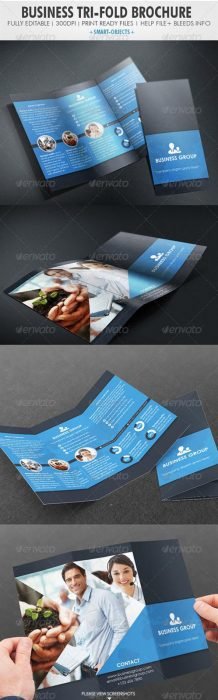 Business Tri-fold Brochure (Custom)