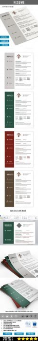 Clean Resume PSD  MS Word (Custom)