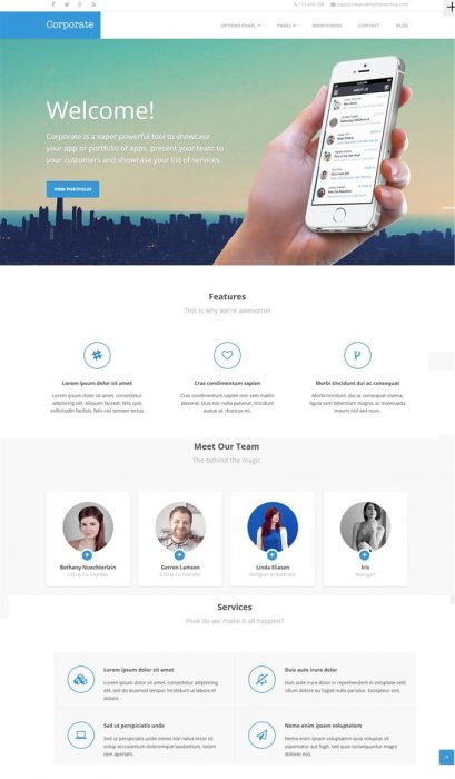 Corporate Ultimate Business Solution WordPress Theme (Custom)