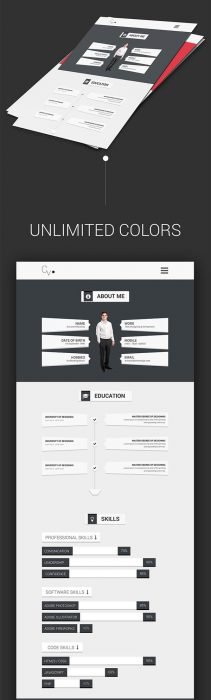 Free Resume   CV PSD