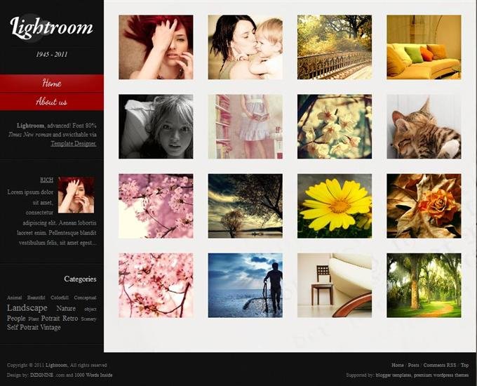 Lightroom Advanced Photography Free Blogger Template (Custom)