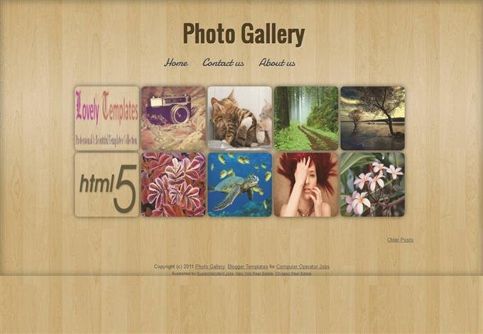 Photo Gallery Photography Blogger Template (Custom)
