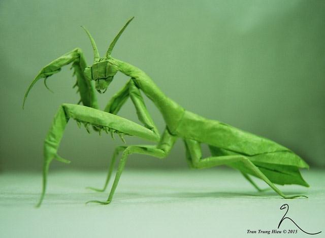 Praying mantis (Custom)