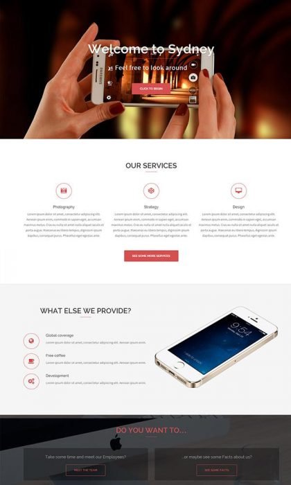 Sydney WordPress Theme (Custom)