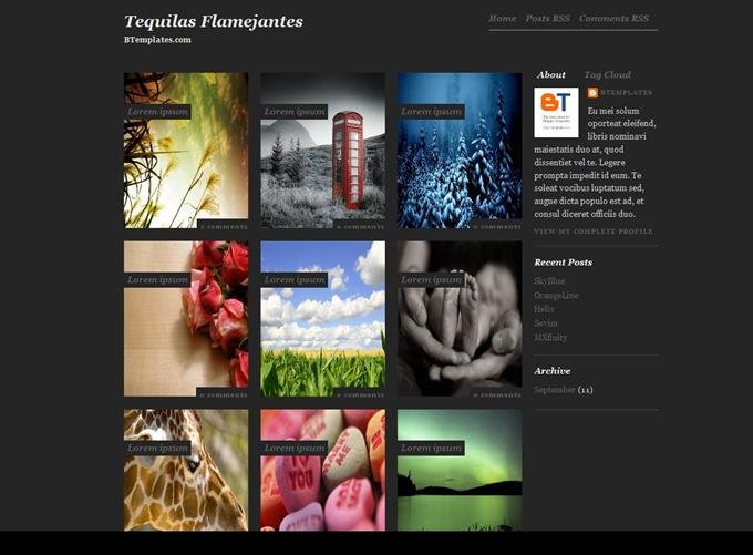 Tequilas Blogger Template (Custom)