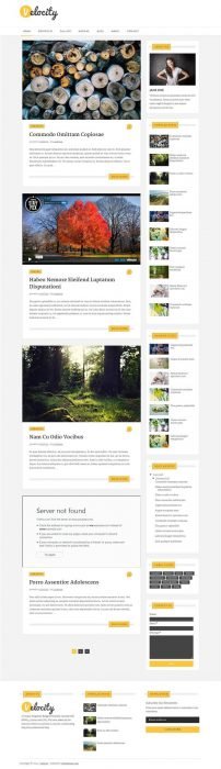 Velocity Blogger Template (Custom)