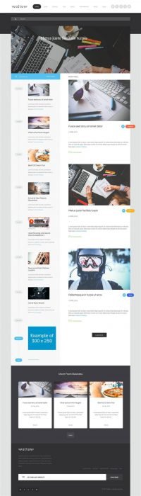 Voltov - Blog and Magazine WordPress Theme (Custom)