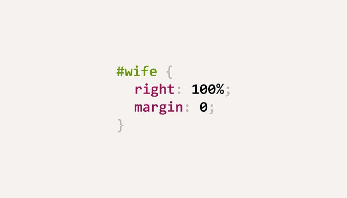 css-puns-wife