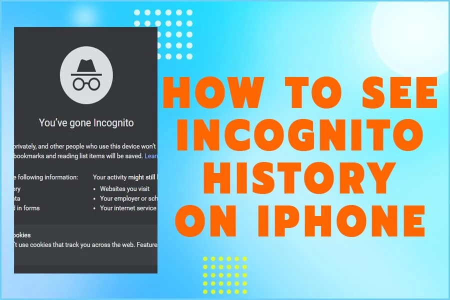 how-to-see-incognito-history-on-iphone-techclient