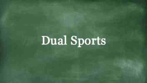 What Are The Examples Of Dual Sport TechClient