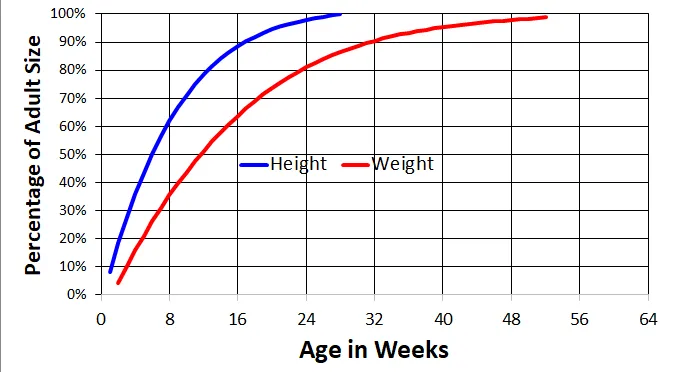 how much does a 8 week old toy poodle weight